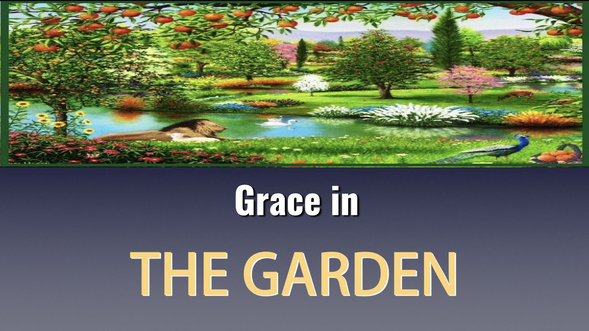 Grace in the Garden